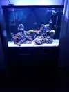 [TodoMarino.com] vendo acuario (urna y mesa) MADRID - Madrid