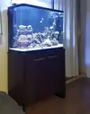 [TodoMarino.com] vendo acuario (urna y mesa) MADRID - Madrid