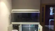 [TodoMarino.com] acuario red sea max 650 litros color blanco - Elche