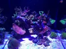 [TodoMarino.com] Julia’s reef