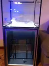 [TodoMarino.com] mi segundo reef !!