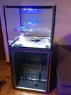 [TodoMarino.com] mi segundo reef !!