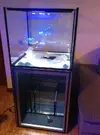 [TodoMarino.com] mi segundo reef !!