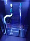 [TodoMarino.com] mi segundo reef !!