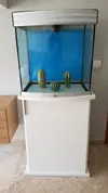 [TodoMarino.com] Acuario Malagueño desde cero con aportes de foreros
