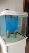 [TodoMarino.com] Acuario Malagueño desde cero con aportes de foreros