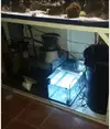 [TodoMarino.com] Desmonto 800 litros, Madrid - Madrid, Toledo