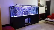 [TodoMarino.com] DEEP BLUE REEF