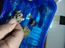 [TodoMarino.com] Reef 120L