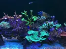 [TodoMarino.com] Nudibranqueos?