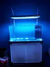 [TodoMarino.com] Steganos´s Reef Project