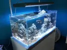 [TodoMarino.com] Steganos´s Reef Project