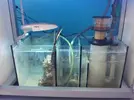 [TodoMarino.com] Steganos´s Reef Project