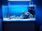 [TodoMarino.com] Steganos´s Reef Project