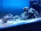 [TodoMarino.com] Steganos´s Reef Project