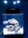 [TodoMarino.com] tubi nano reef
