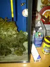 [TodoMarino.com] Que es esto?