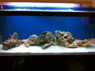 [TodoMarino.com] Mi nuevo 300 litros + sump