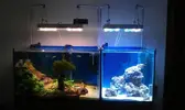 [TodoMarino.com] Acuario mixto dulce-salado
