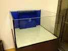[TodoMarino.com] Two Sides Two Reef