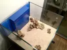 [TodoMarino.com] Two Sides Two Reef
