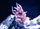 [TodoMarino.com] Mi pequeño "cachito de oceano"