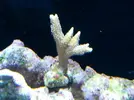 [TodoMarino.com] Mi pequeño "cachito de oceano"