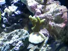 [TodoMarino.com] Mi pequeño "cachito de oceano"