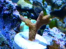 [TodoMarino.com] Mi pequeño "cachito de oceano"