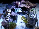 [TodoMarino.com] Mi pequeño "cachito de oceano"