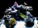 [TodoMarino.com] Mi pequeño "cachito de oceano"