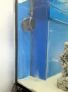 [TodoMarino.com] Two Sides Two Reef