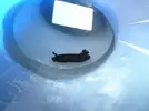 [TodoMarino.com] Identificación nudribranquio negro ..... es come zoo ?