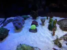 [TodoMarino.com] Esto son zoos?