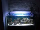 [TodoMarino.com] mi primer acuario