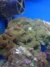 [TodoMarino.com] Mi cachito de mar..