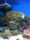 [TodoMarino.com] Mi cachito de mar..