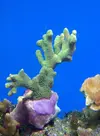 [TodoMarino.com] Mi cachito de mar..