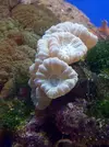 [TodoMarino.com] Mi cachito de mar..
