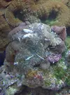 [TodoMarino.com] Mi cachito de mar..