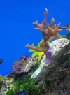 [TodoMarino.com] Mi cachito de mar..