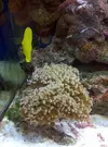 [TodoMarino.com] Mi cachito de mar..