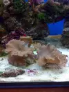 [TodoMarino.com] Mi cachito de mar..