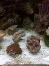 [TodoMarino.com] Mi cachito de mar..