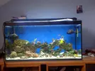 [TodoMarino.com] Mi cachito de mar..