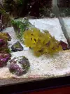 [TodoMarino.com] Mi cachito de mar..