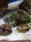 [TodoMarino.com] Mi cachito de mar..