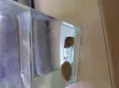 [TodoMarino.com] que son estos 2 caracoles,buenos o malo