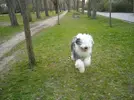 [TodoMarino.com] Los más perros de TodoMarino...