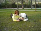 [TodoMarino.com] Los más perros de TodoMarino...